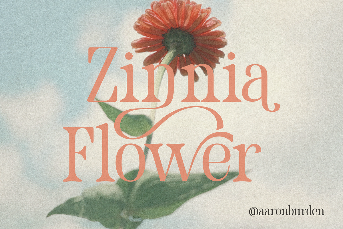 Pakoshe – Serif Font, a Serif Font by NDNL Studio (Photo 6 of 9)