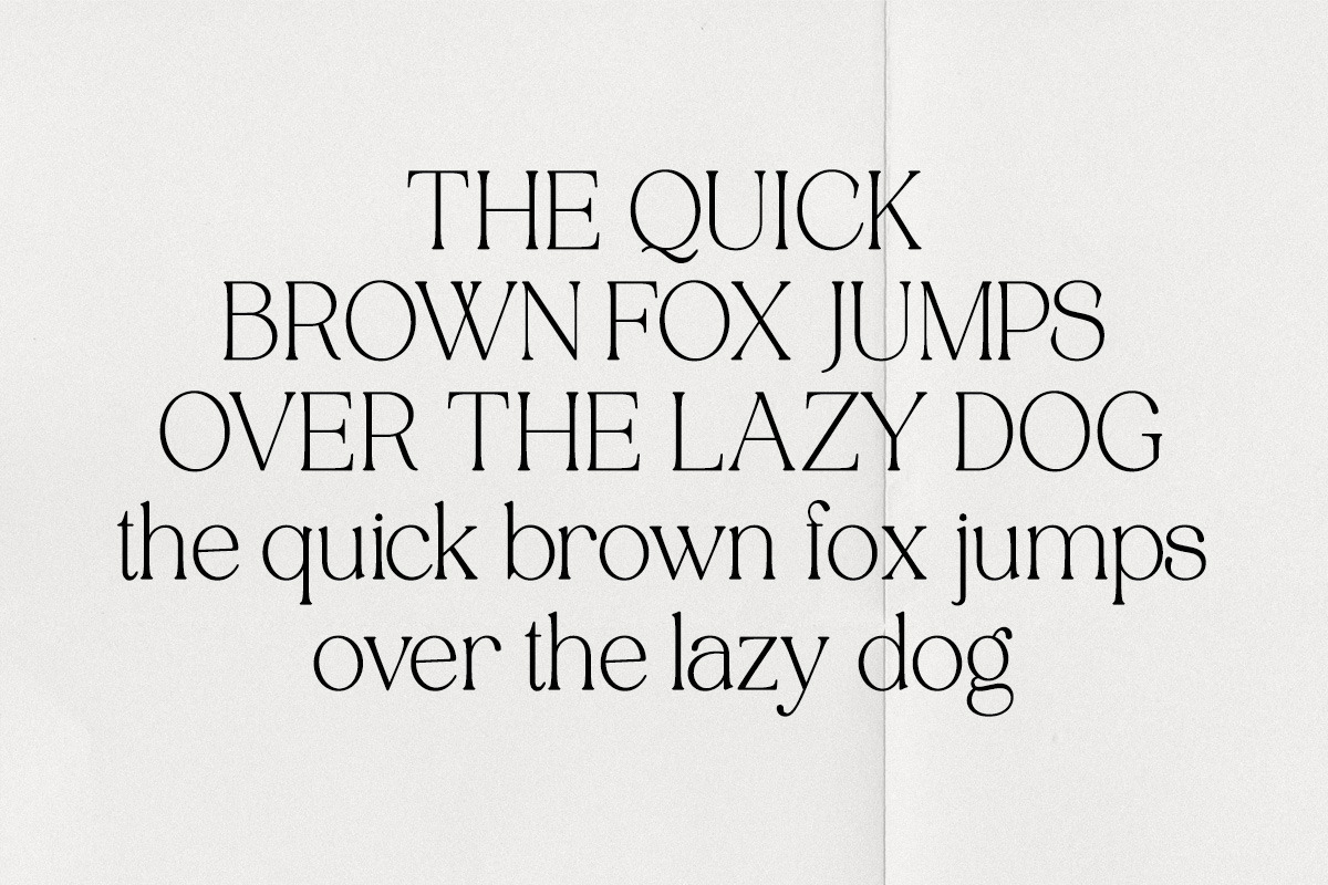 Tenopate, a Serif Font by Pista Mova (Photo 15 of 20)