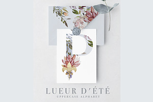 Lueur D't Noble Collection 50% OFF