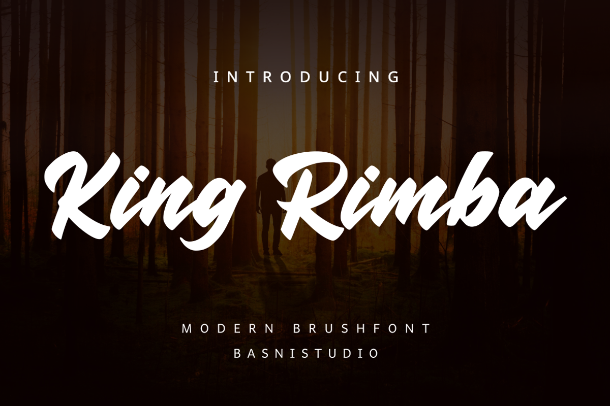 King Rimba Modern Brush Font, a Handwritten Font by Basnistudio (Photo 1 of 7)