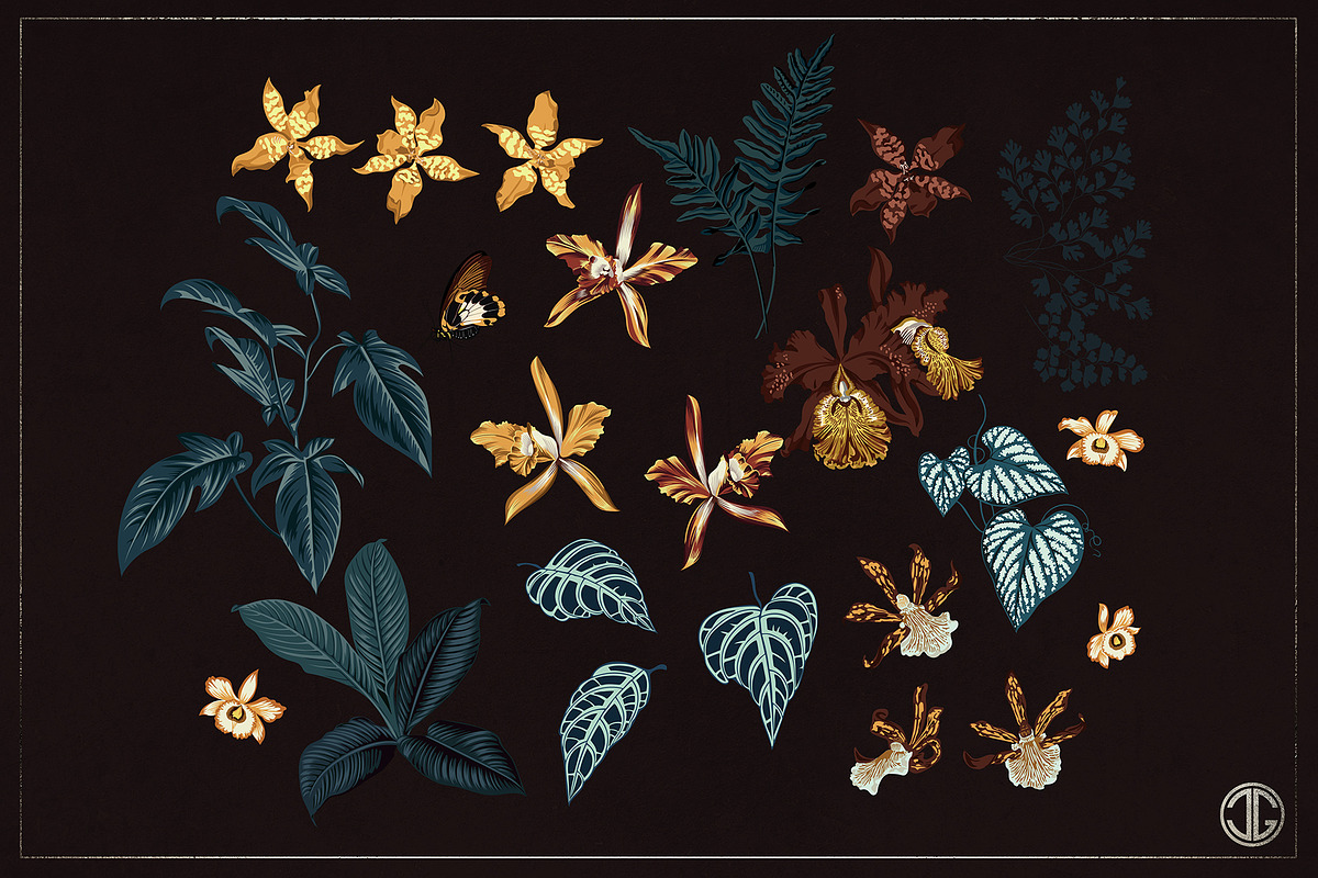 THE ORCHIDS seamless vector pattern, a Pattern Graphic by C & G (Photo 4 of 9)