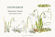 Snowdrop Watercolor Clipart Set, a Decorative Illustration by MariaScaroniAtelier (Thumbnail 1 of 7)