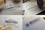 1500 Logos Bundle Collection, a Branding & Logo Template by Graphicdome (Thumbnail 57 of 185)