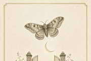 ETARA Samhain Ritual Kit, a Decorative Illustration by ETARA by Mea Hau (Thumbnail 46 of 80)