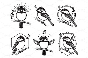 Set of cute black-capped chickadees, an Animal Illustration by yod67