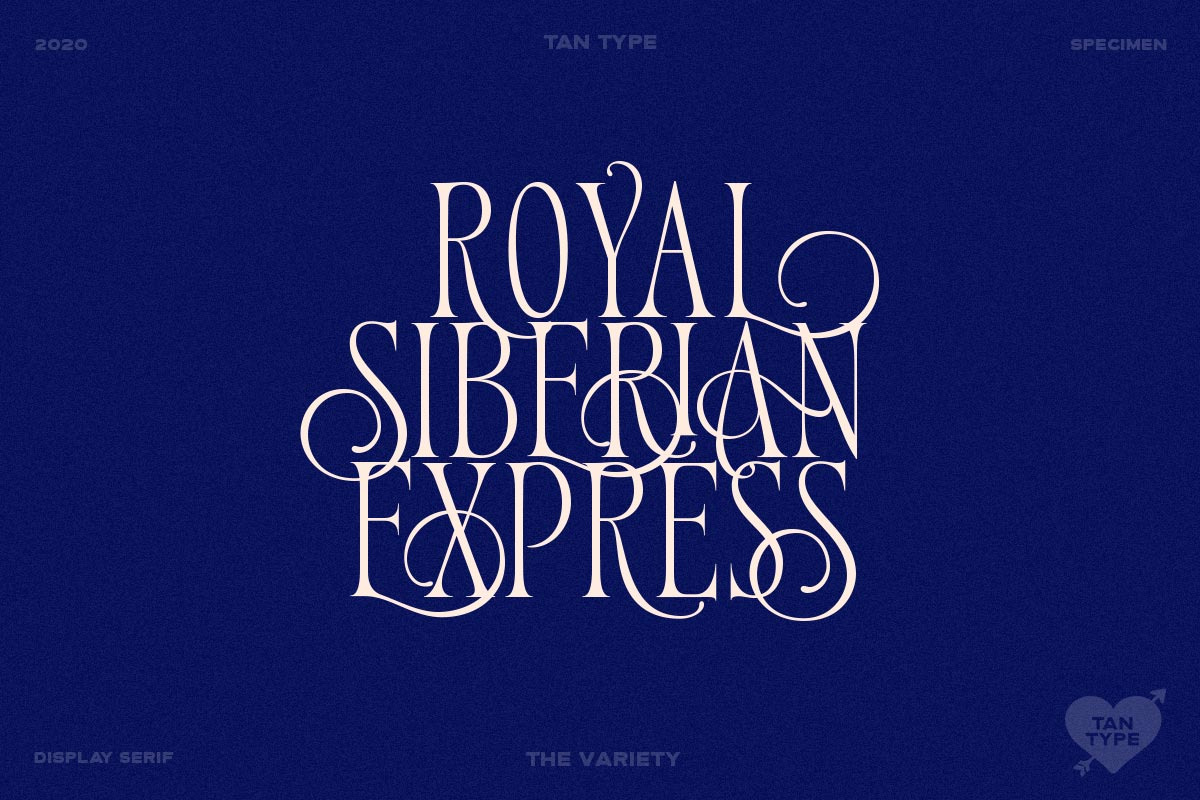 TAN - Variety, a Serif Font by TanType (Photo 9 of 26)