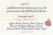 Whimsical font script Fichi Capri, a Script Font by TD fonts (Thumbnail 9 of 11)