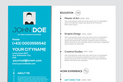 Flat Resume with Infographics, a Work Illustration by Creative Graphics (Thumbnail 7 of 7)