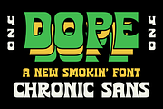 Chronic Sans Display Font, a Sans Serif Font by Brethrendesignco (Thumbnail 4 of 7)