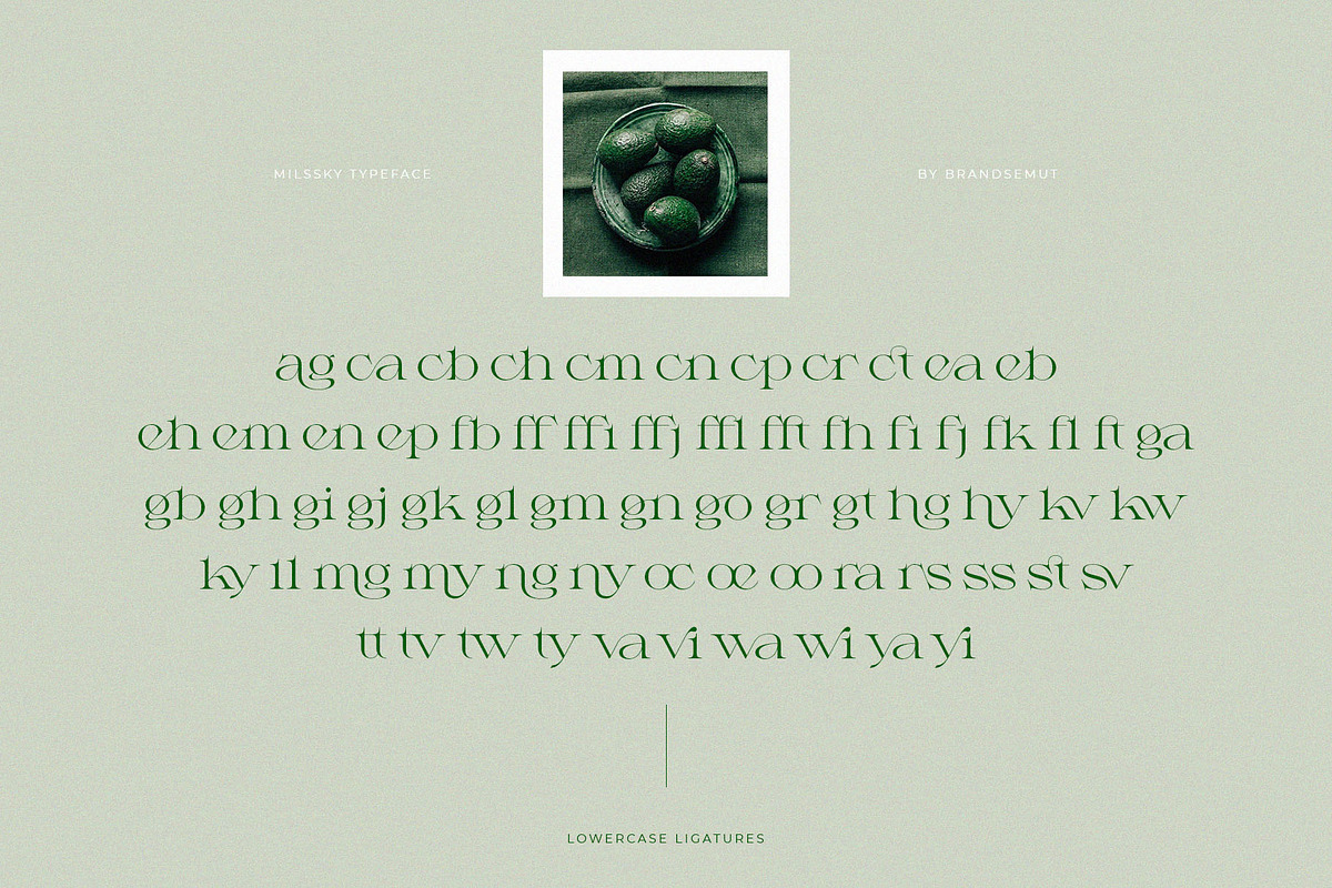 Milssky || Modern & Classy Ligature, a Serif Font by BrandSemut (Photo 16 of 16)