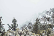 Nature Photo Pack, a Nature Photo by baker2512 (Thumbnail 13 of 20)