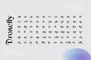 Dronefly Typeface, a Serif Font by alit design (Thumbnail 10 of 15)