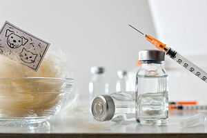 Vaccination treatment against allergic reactions in animals, a Health & Medical Photo by Davizro's Market