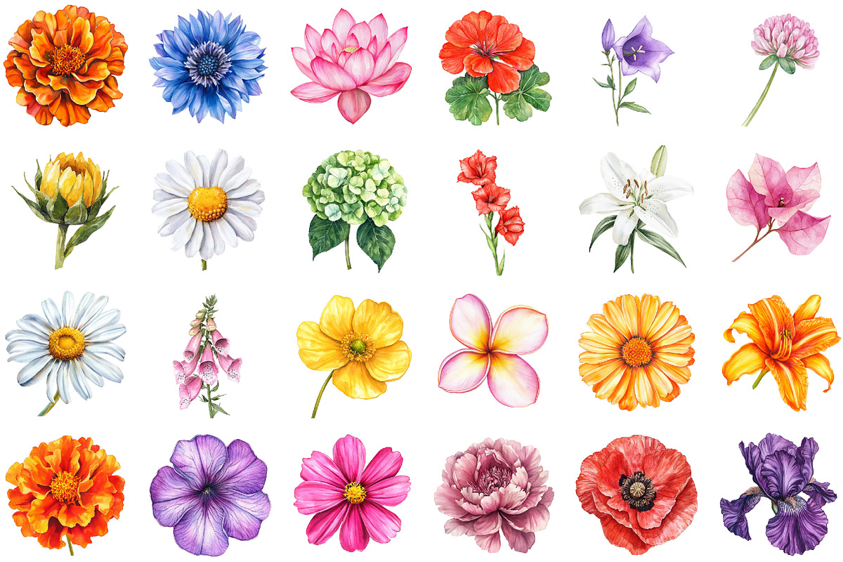 Watercolor Summer Flowers Clipart, an Illustration by Sublimation Artist (Photo 2 of 6)