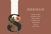 Herbarium: Pressed Dry Flowers vol.1, a Decorative Illustration by AnaPierceArt (Thumbnail 6 of 12)