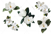 Magnolia SVG & PNG wreaths & florals, an Illustration by michLg designs (Thumbnail 4 of 5)