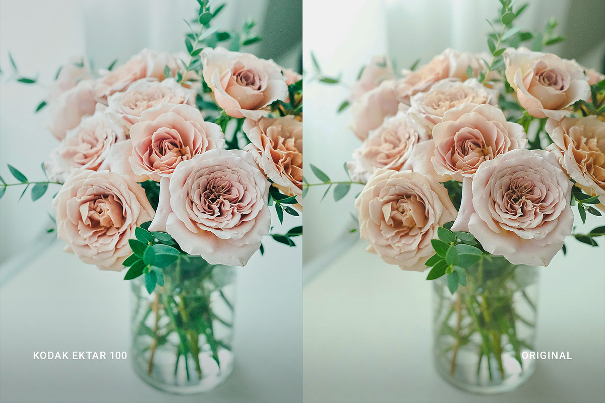 Kodak Ektar 100, a Preset Add-On by colorituals (Photo 8 of 8)