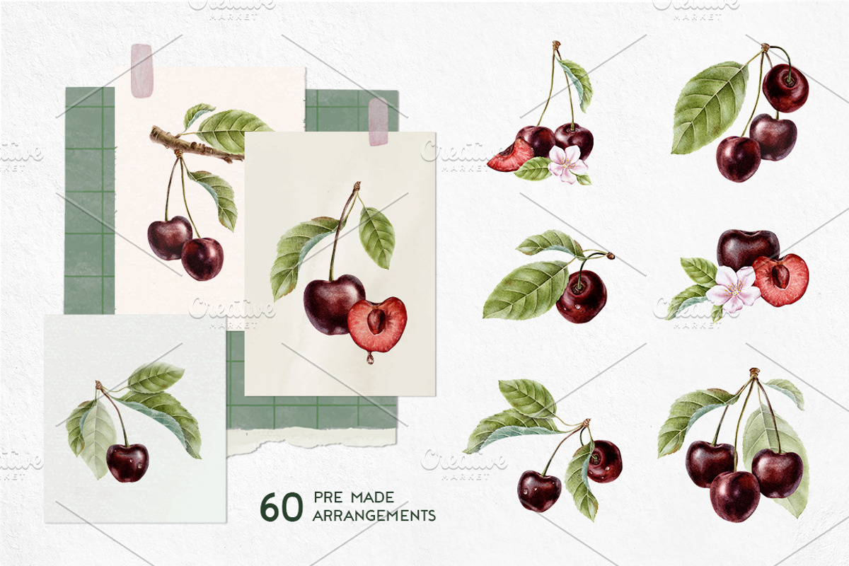 Cherry Watercolor Illustrations, a Food Illustration by Fedulova Art (Photo 3 of 13)