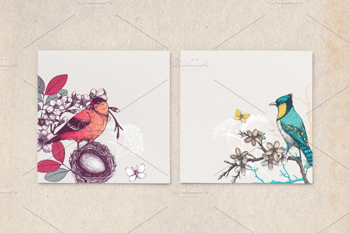 Spring Birds Patterns Collection, an Animal Illustration by Yevheniia