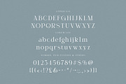 Agican Elegant Serif, a Serif Font by Cruzine (Thumbnail 6 of 9)