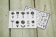 Floral Big Bundle, an Object Graphic by Lana Samokhina (Thumbnail 6 of 21)