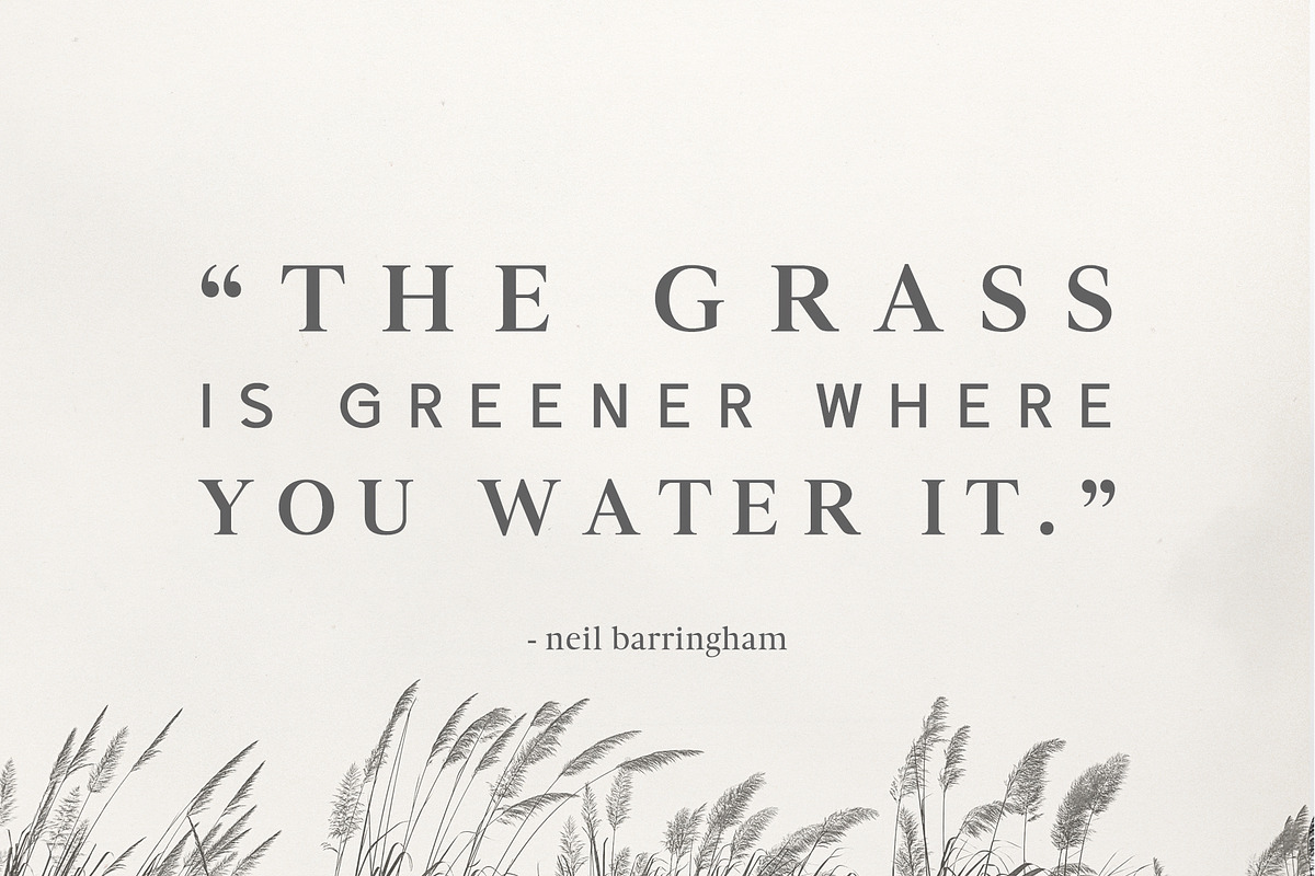 Denish Sans & Serif Duo Font Family, a Serif Font by Creativetacos (Photo 3 of 12)