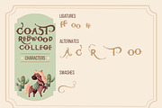 Coast Redwood, a Blackletter Font by Lunabi (Thumbnail 5 of 8)