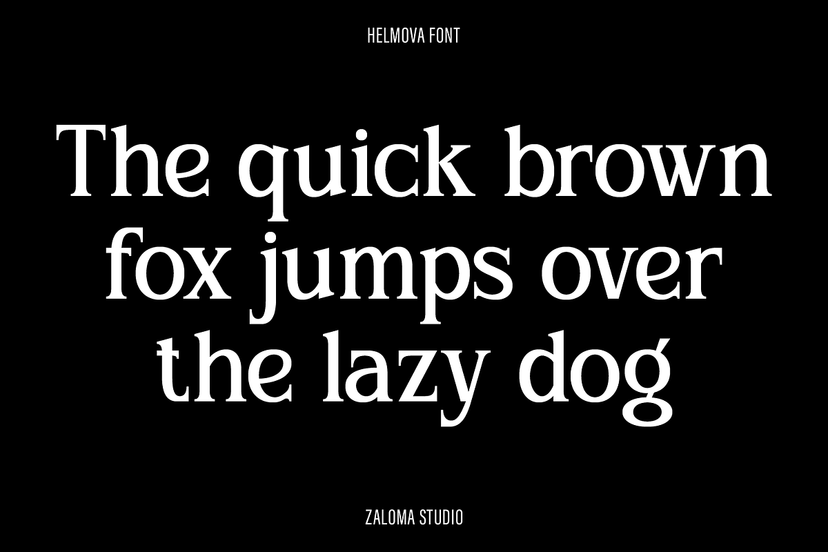 Helmova, a Serif Font by Zaloma Studio (Photo 14 of 18)