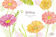 Watercolor set of gerbera flowers, a Decorative Illustration by BrushArtDesigns (Thumbnail 4 of 9)