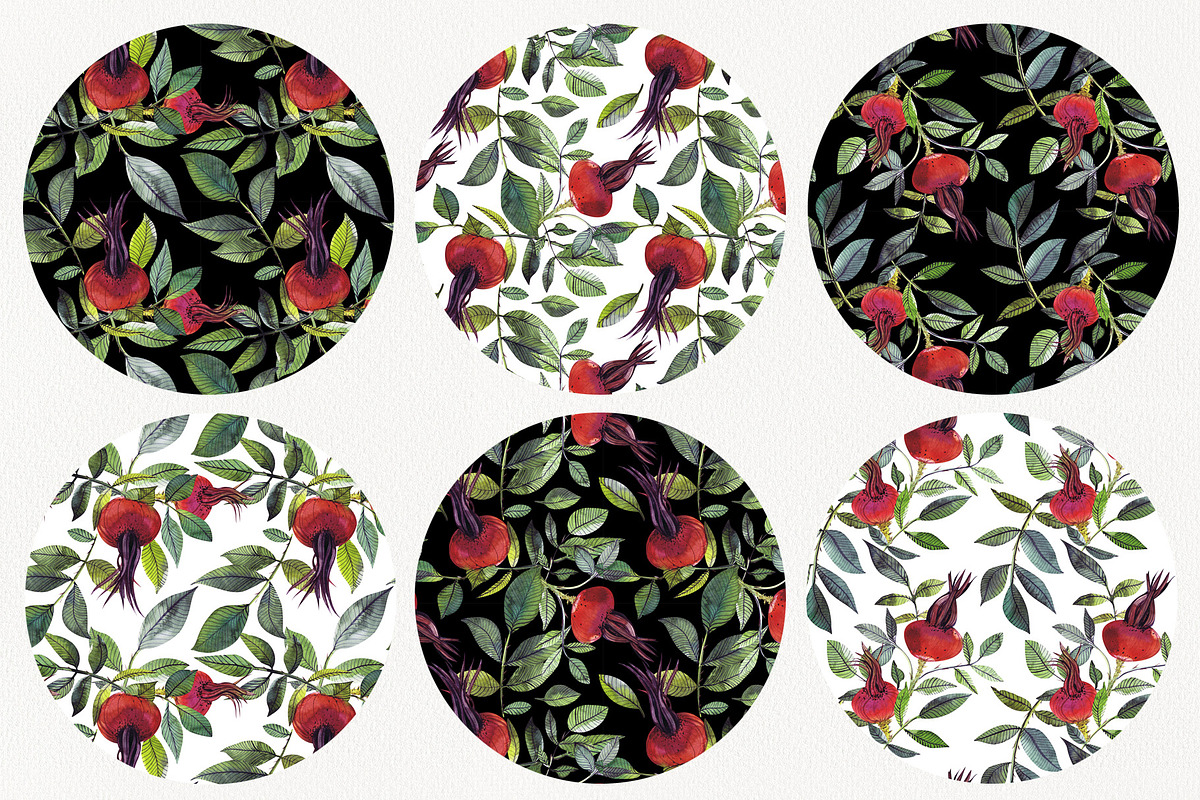 Fruits and leaves dogrose set & card, a Decorative Illustration by Art AleshkaK (Photo 3 of 3)