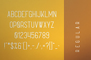Sunflower - Font Duo, a Script Font by VP Fonts (Thumbnail 9 of 12)
