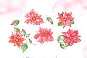 Watercolor poinsettia clipart, an Illustration by OlDm_Shop (Thumbnail 7 of 10)