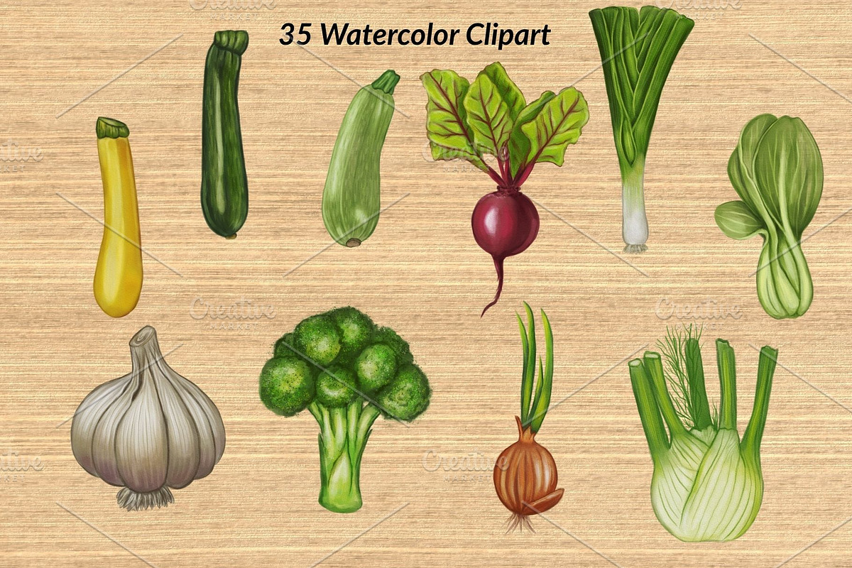 Watercolor Vegetables, a Food Illustration by Elatedowl (Photo 9 of 17)