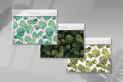 Tropical design. Monstera leaves., a Pattern Graphic by Anna Smirnova (Thumbnail 2 of 11)