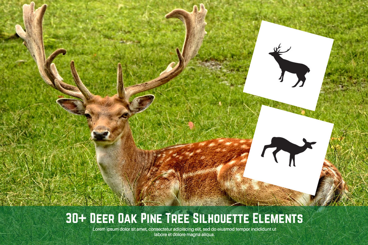 30+ Deer Oak Pine Tree Silhouette, an Animal Illustration by jongcreative (Photo 3 of 5)