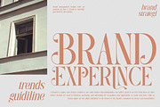 Rasmien | Elegant Serif Font, a Serif Font by Denustudios (Thumbnail 4 of 13)