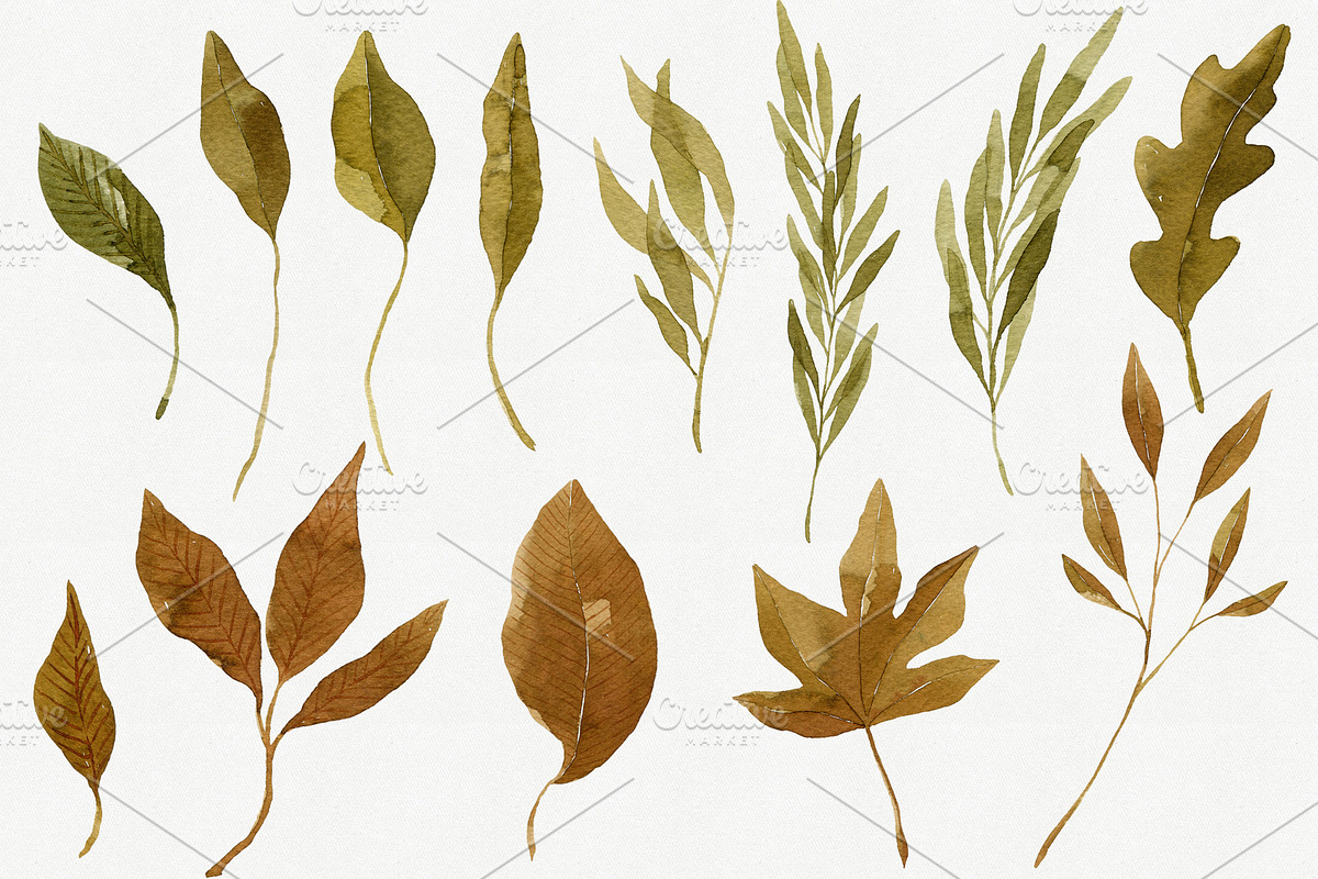 Watercolor Autumn Leaves Bundle, an Illustration by Helga Wigandt (Photo 12 of 18)