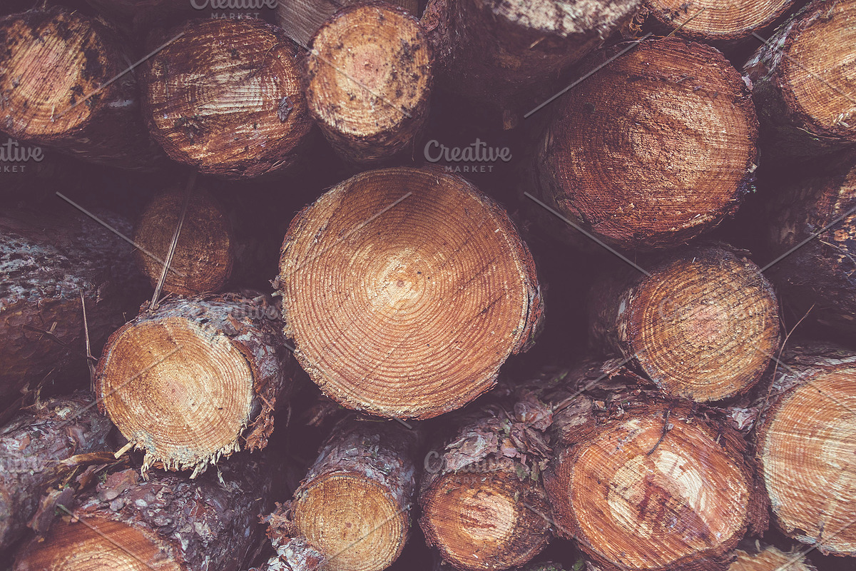 Wood Pack preview 3