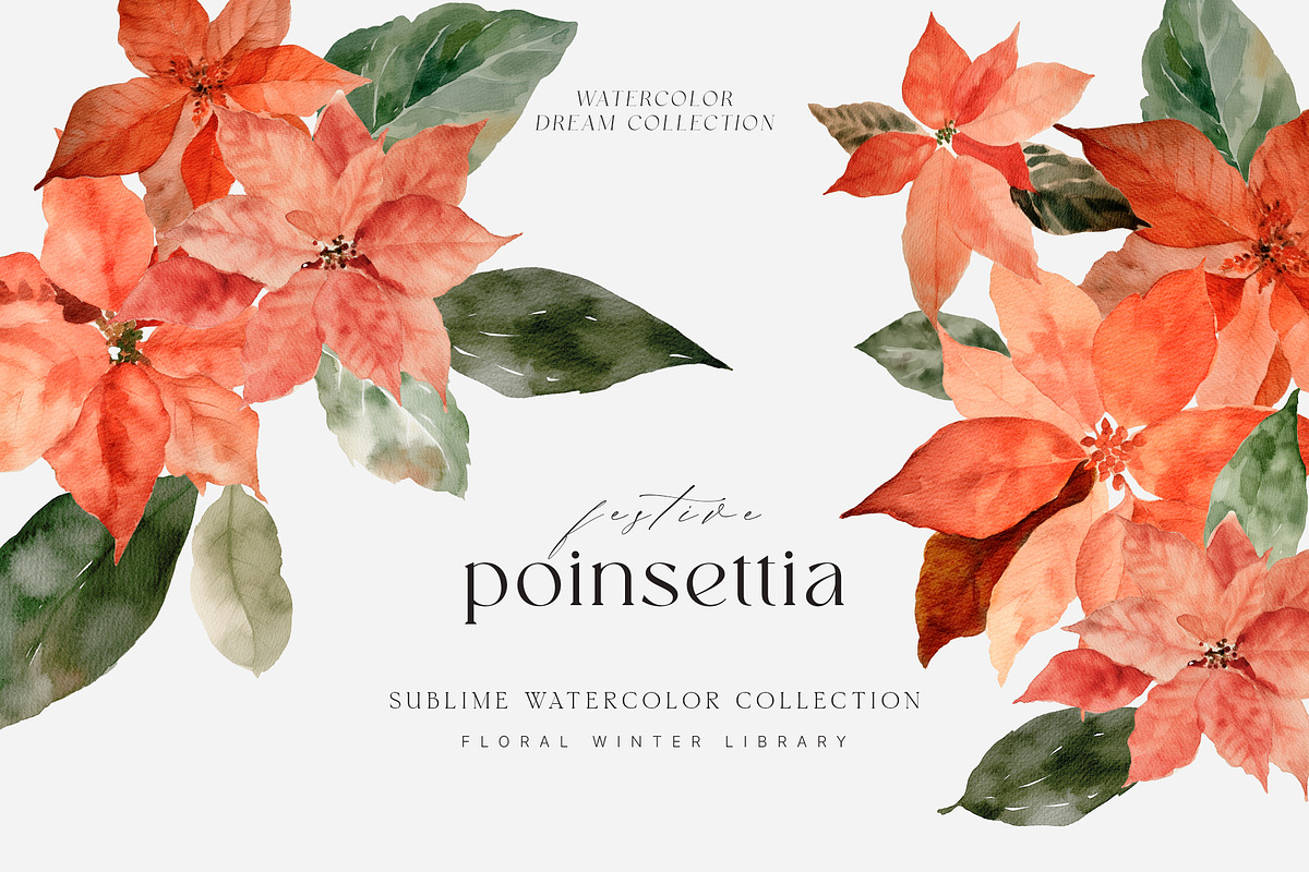 FLORAL WINTER BOX Watercolor Bundle, a Seasonal Illustration by Muse Artist (Photo 29 of 95)