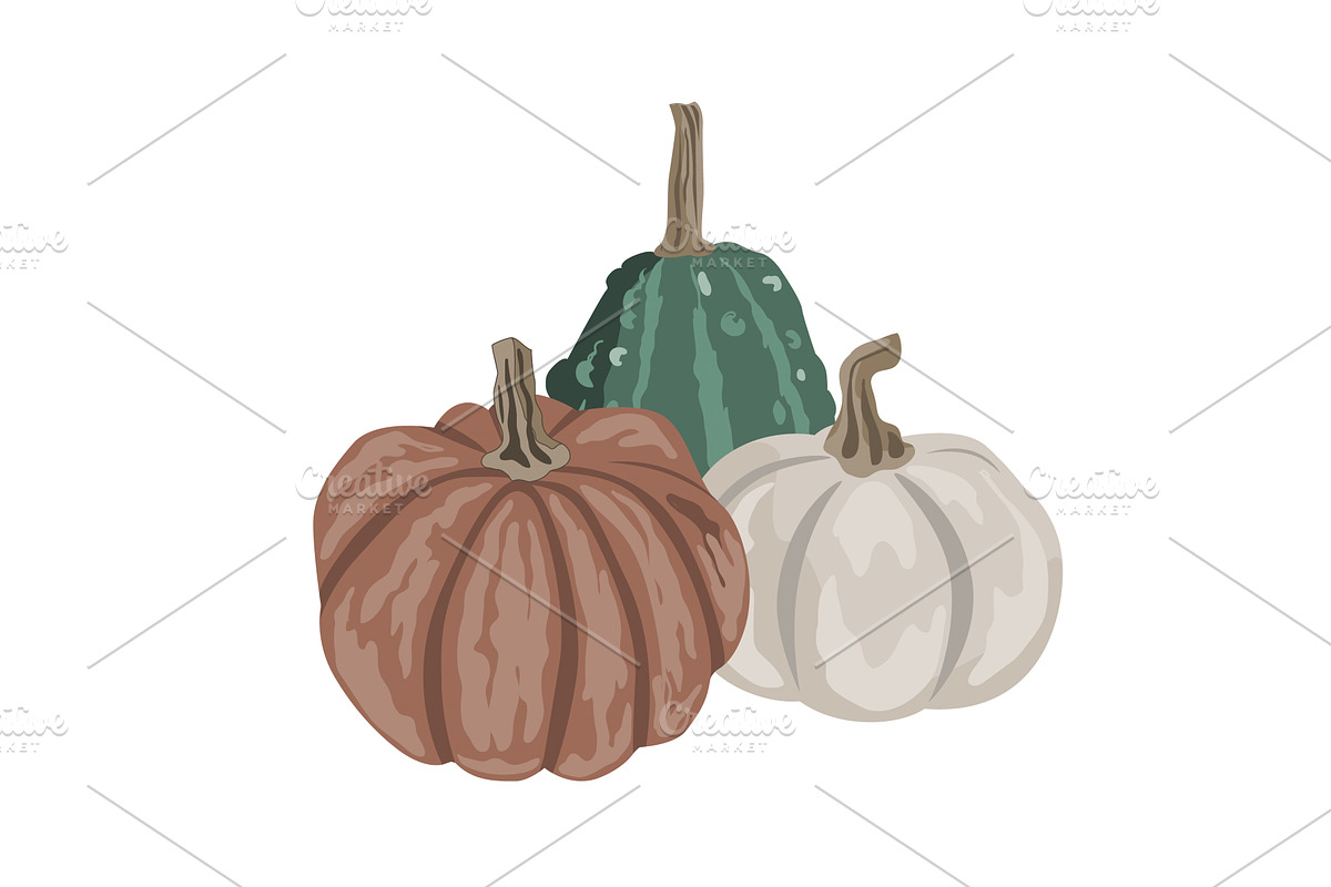 Pumpkins composition isolated on, an Object Illustration by Toltemara
