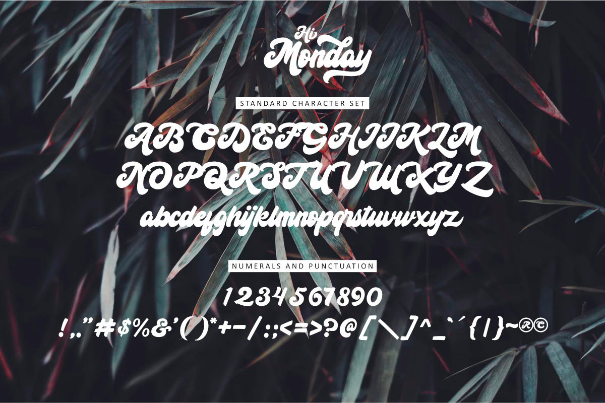 Hi Monday Script preview 5