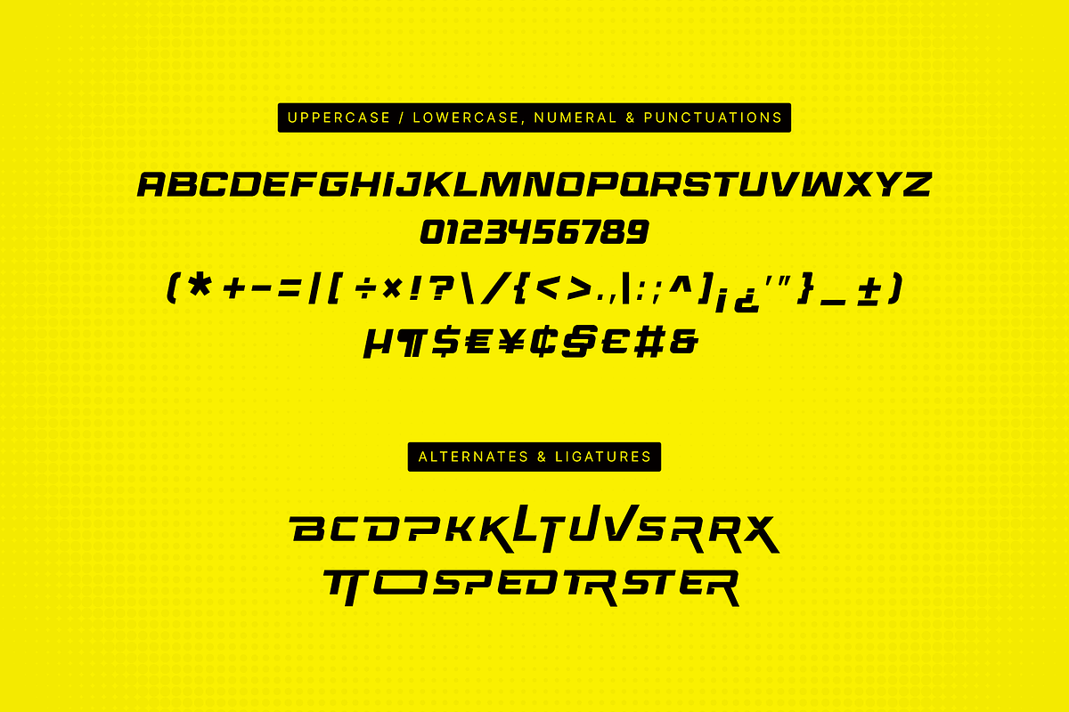 Race Sport, a Sans Serif Font by Namara Creative Studio (Photo 7 of 9)