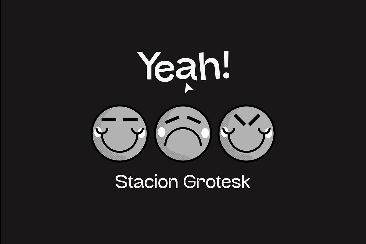 Trileqe + Stacion (Duo Font Pack), a Sans Serif Font by Kulturë Type (Photo 2 of 9)