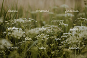 Love Lottery: Monoline font, a Script Font by MCKP*ME (Thumbnail 8 of 8)