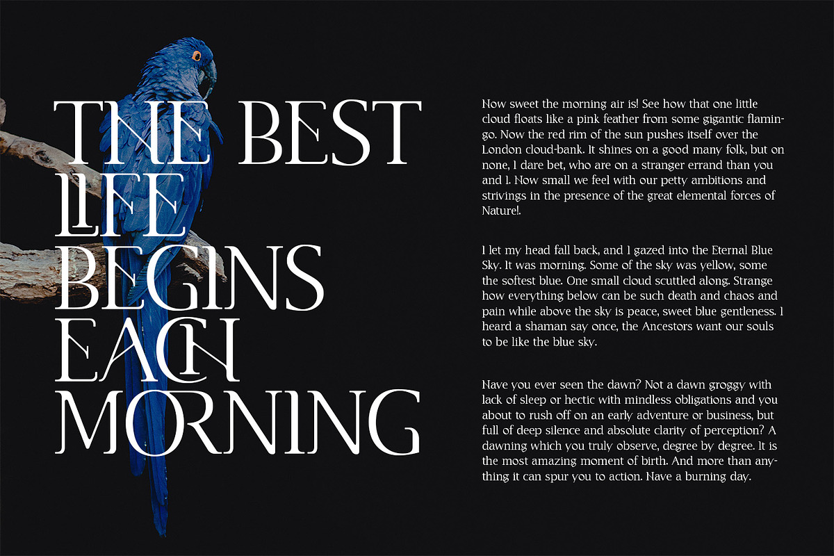 CANNU, a Serif Font by DYSA Studio (Photo 10 of 13)