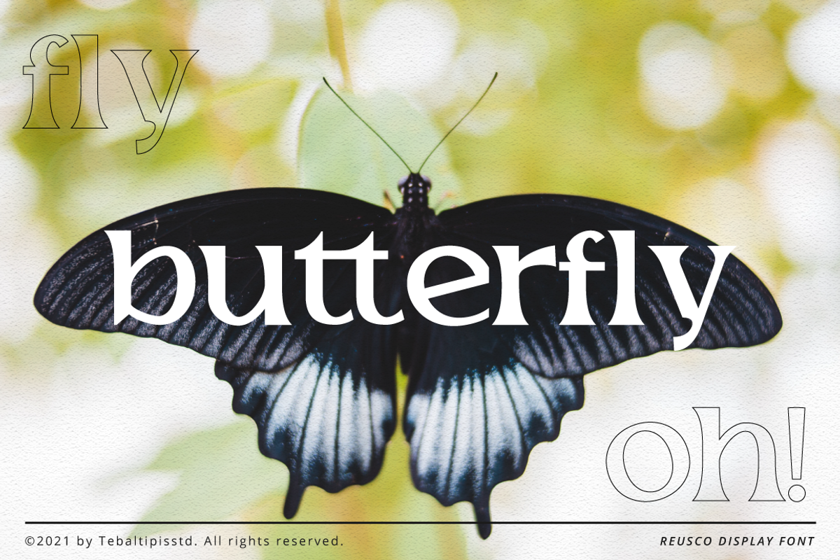 Reusco - Display Typeface, a Serif Font by tebaltipislab (Photo 8 of 15)