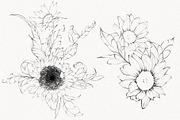 Procreate flower stamp, sunflower, a Brush Add-On by AnnaPolitmerskaja (Thumbnail 5 of 11)