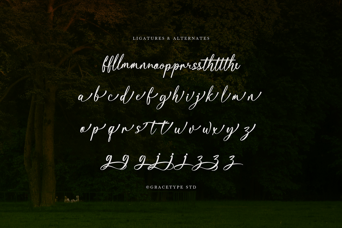 Kartaliaw Mimohasa Elegant Signature, a Script Font by gracetype_studio (Photo 12 of 12)