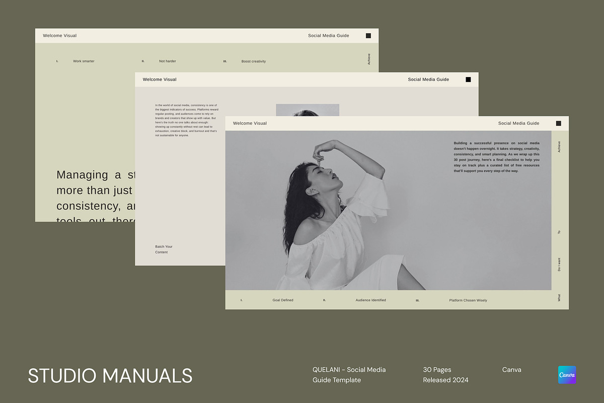 QUELANI - Social Media Guide, a Social Media Template by Studio Manuals (Photo 6 of 8)