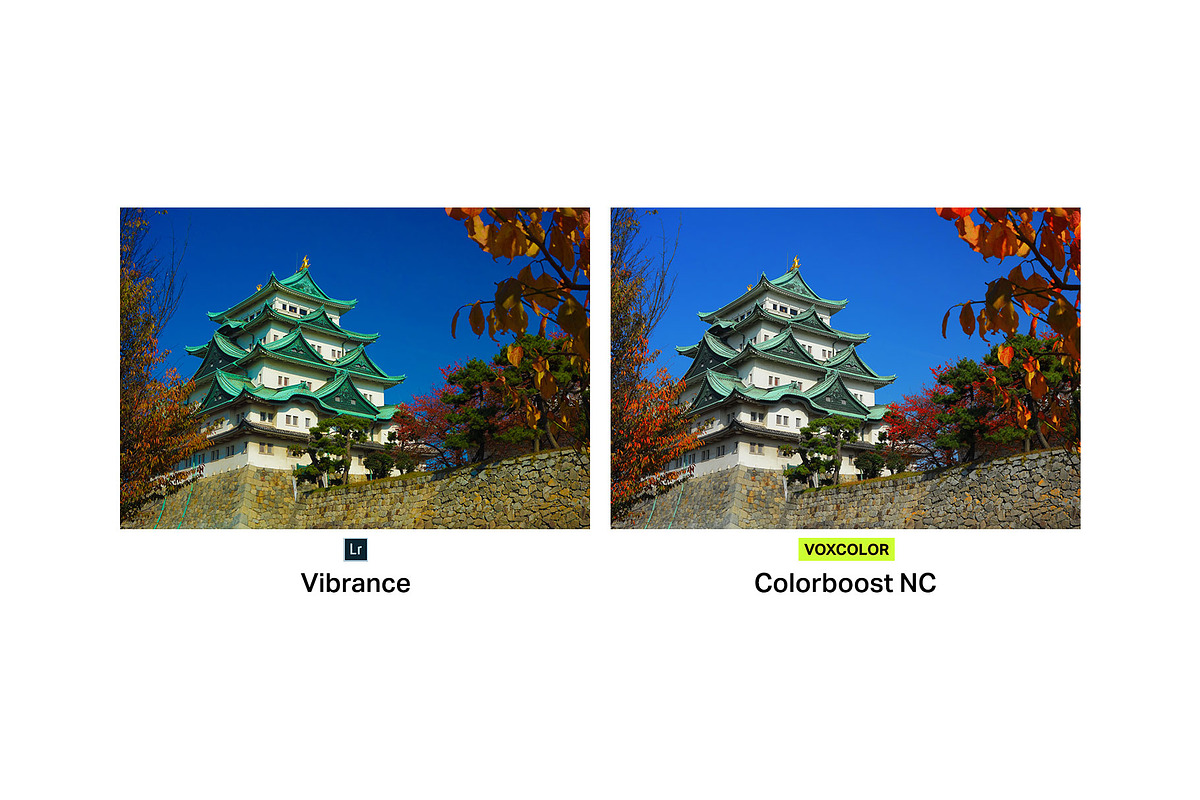 Colorboost Pro Lightroom Profiles, a Brushes & More by VOXCOLOR (Photo 7 of 7)